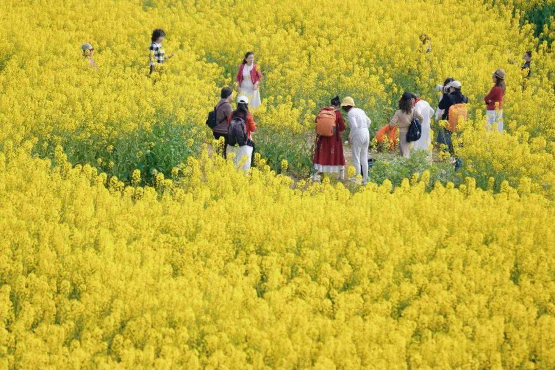 春日有约,踏青去野,德阳人初春出游看这篇就够了!