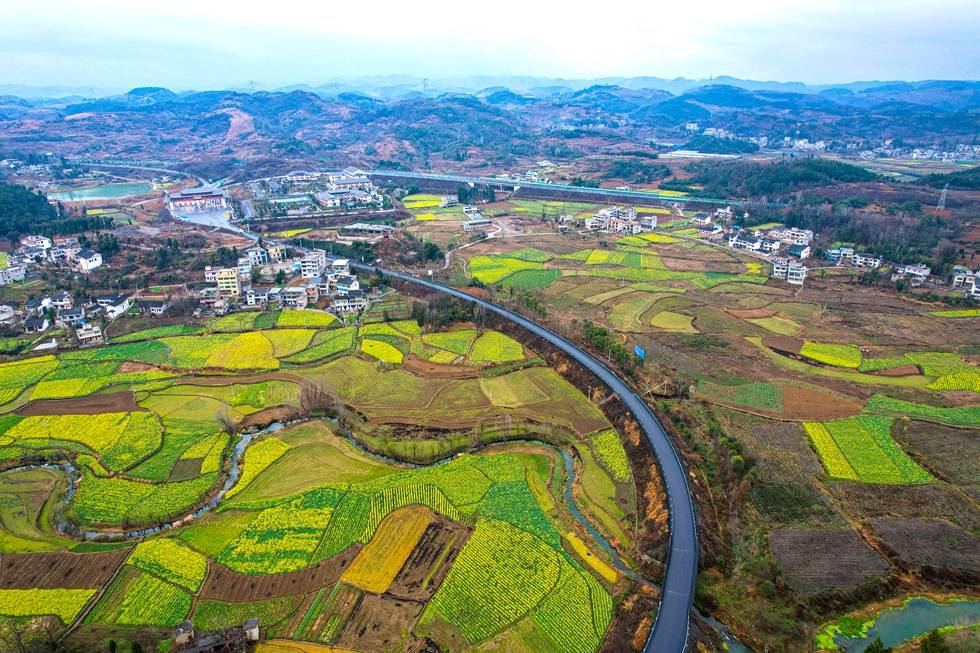 金灿灿黔西市甘棠镇千亩油菜花海等你来春游