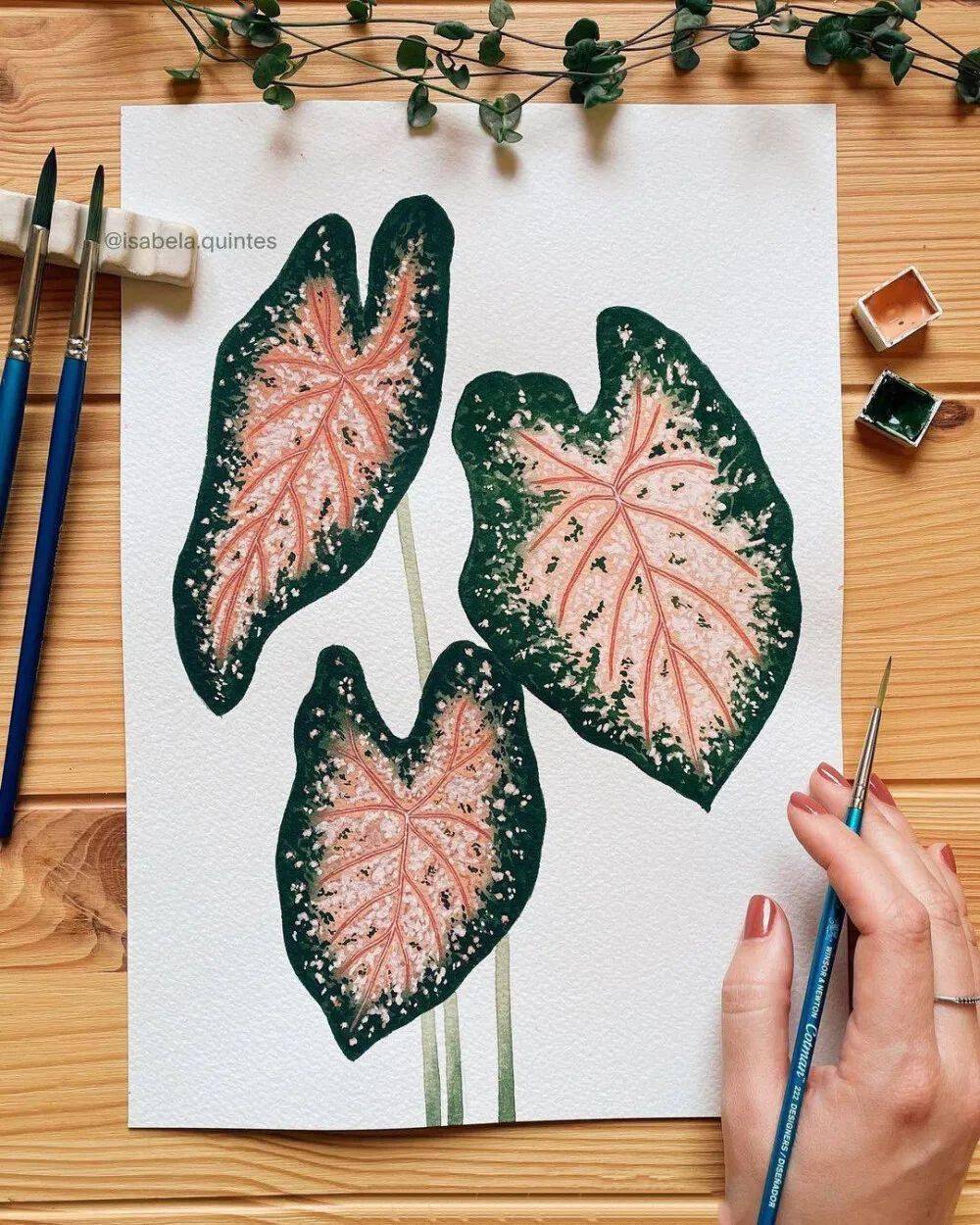 15幅清新水彩小叶子特写,适合临摹的水彩植物绘素材来啦~_交流_网络