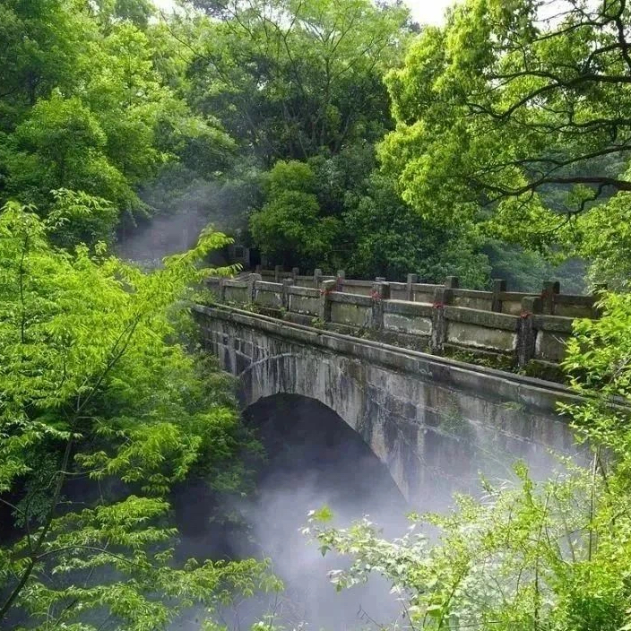 庐山观音桥景区门票图片