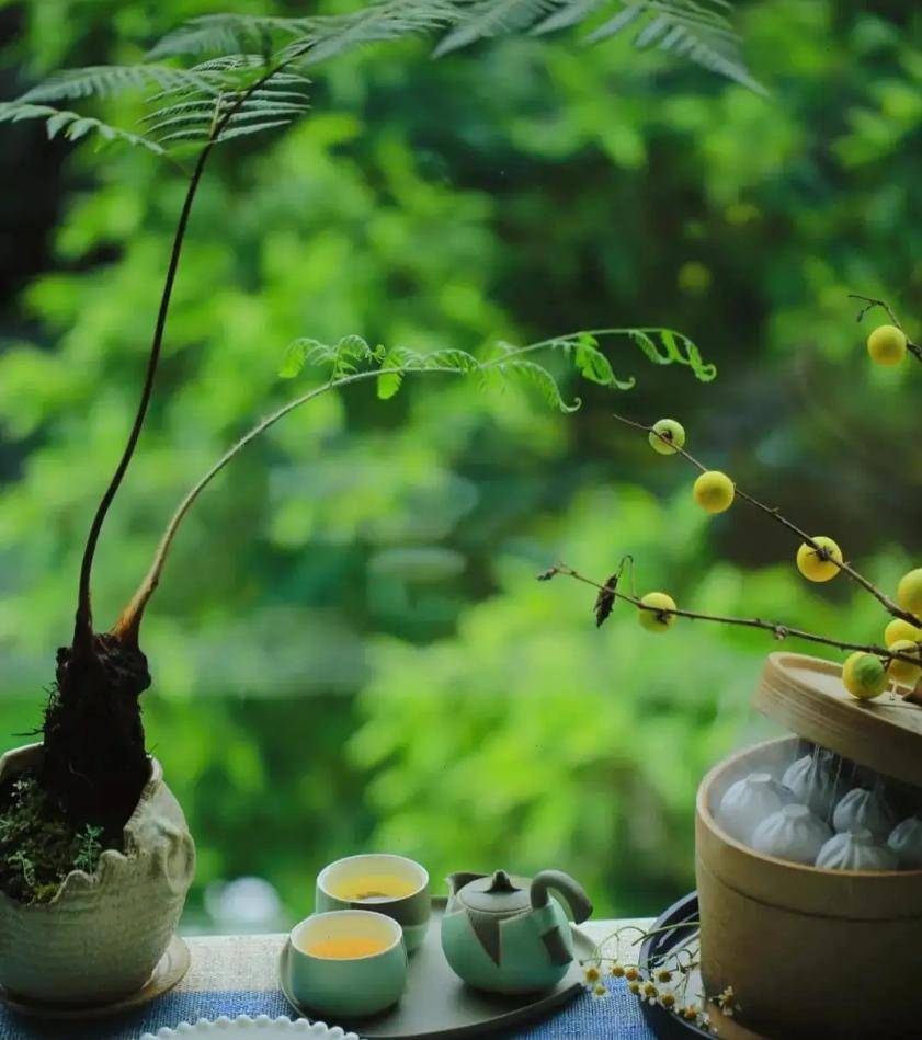 《金刚经》:一世修行,只为八心圆满(上)_智慧_佛陀_觉悟