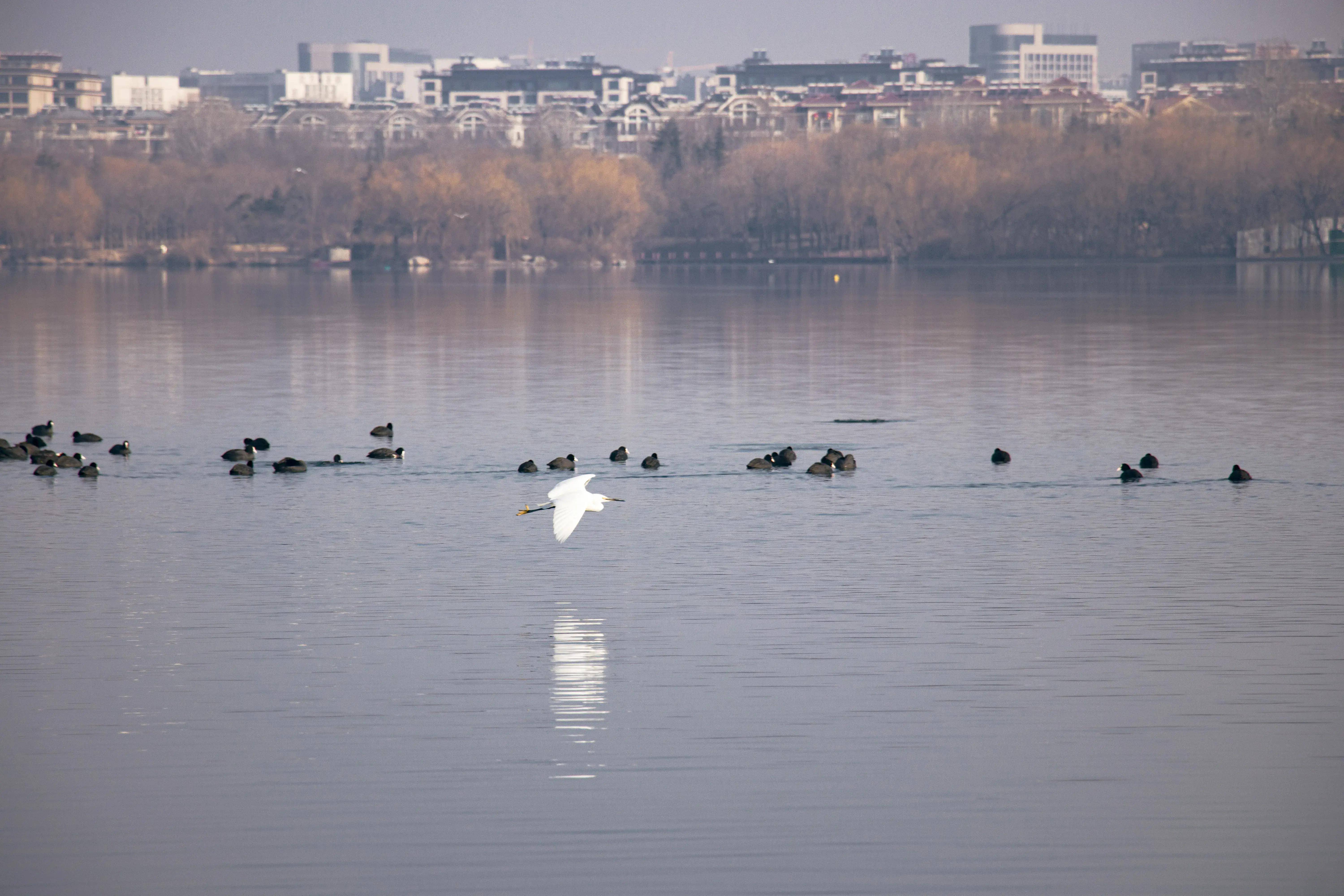 七幅鸢都湖景色