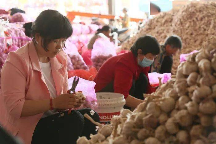 以实干作风推动高质量发展不断取得新成效—67—访