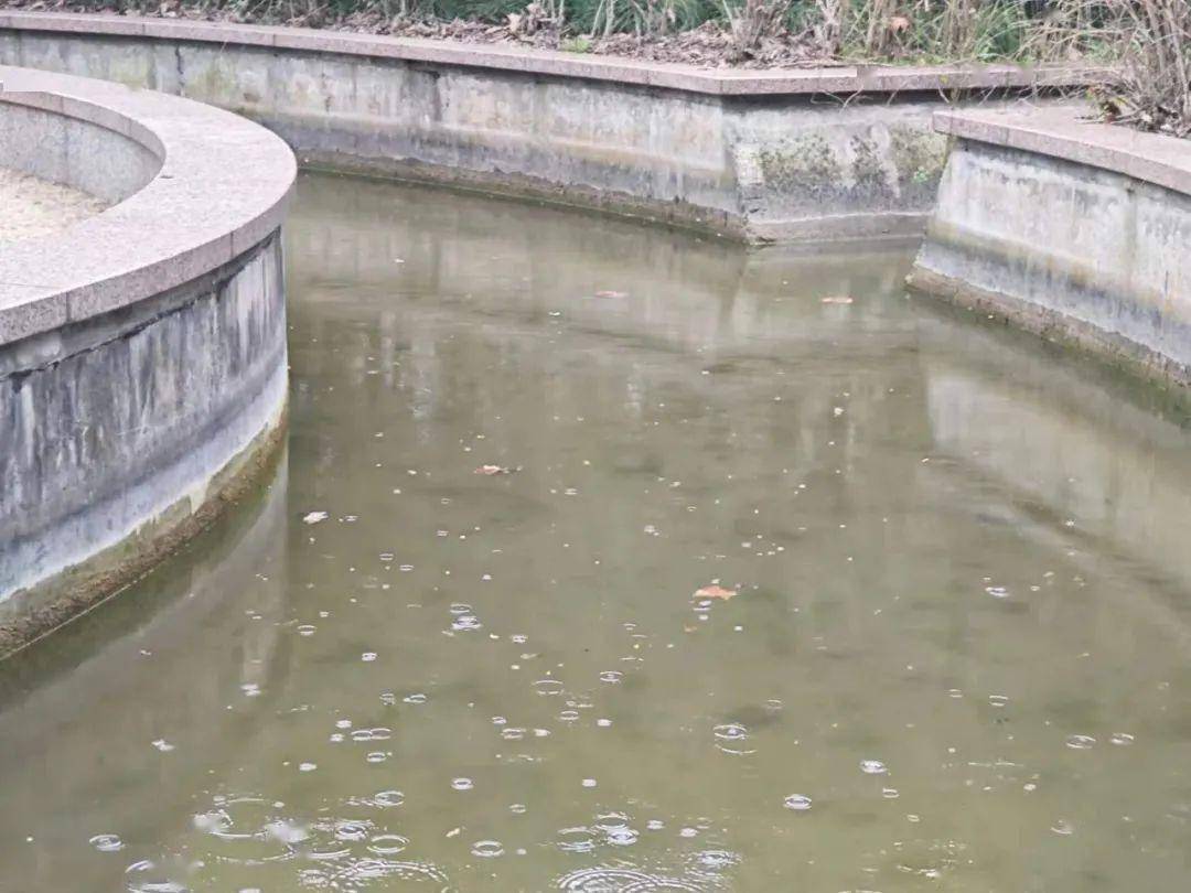 松江最新天气预报→_多云到阴_影响_小雨