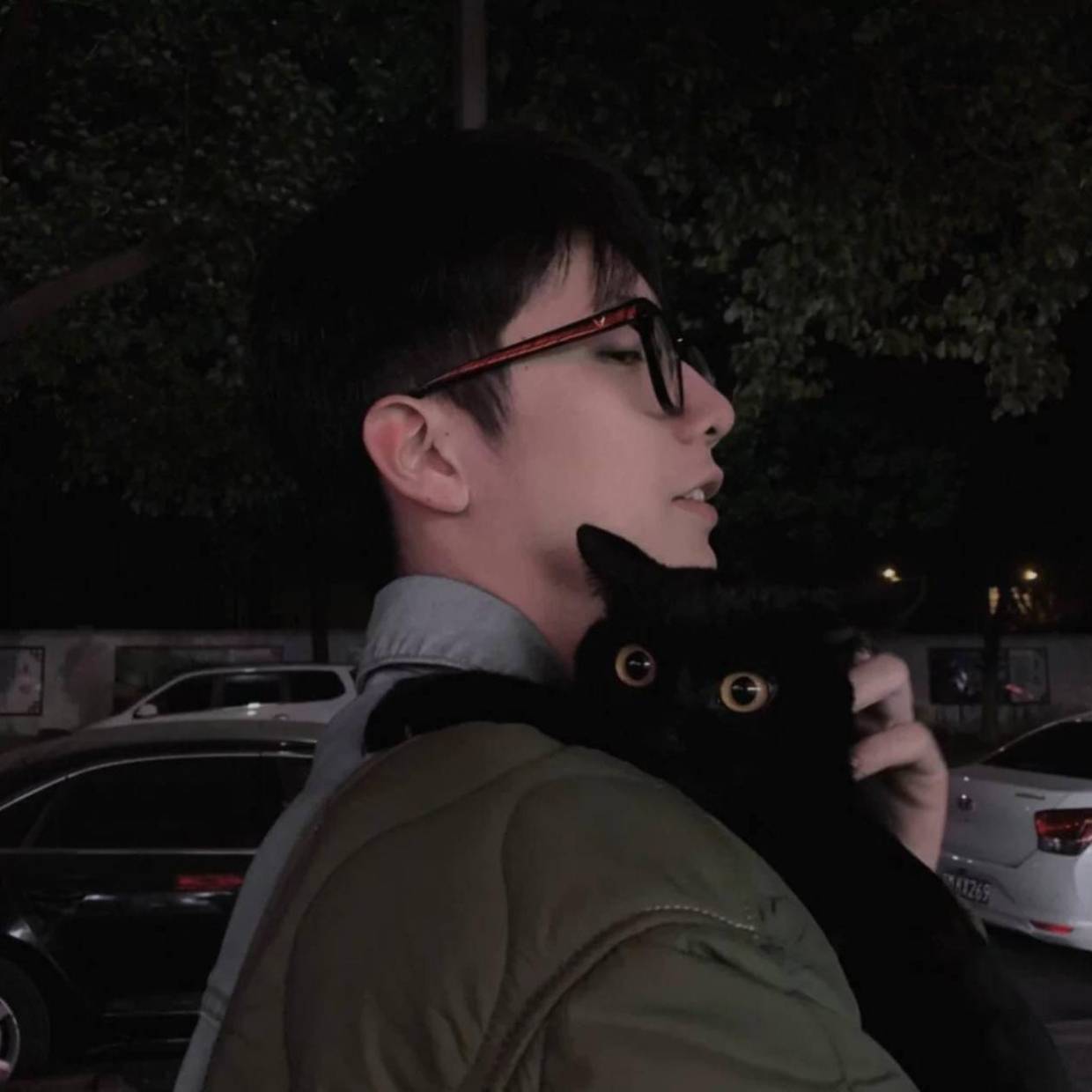 轻雾山林
