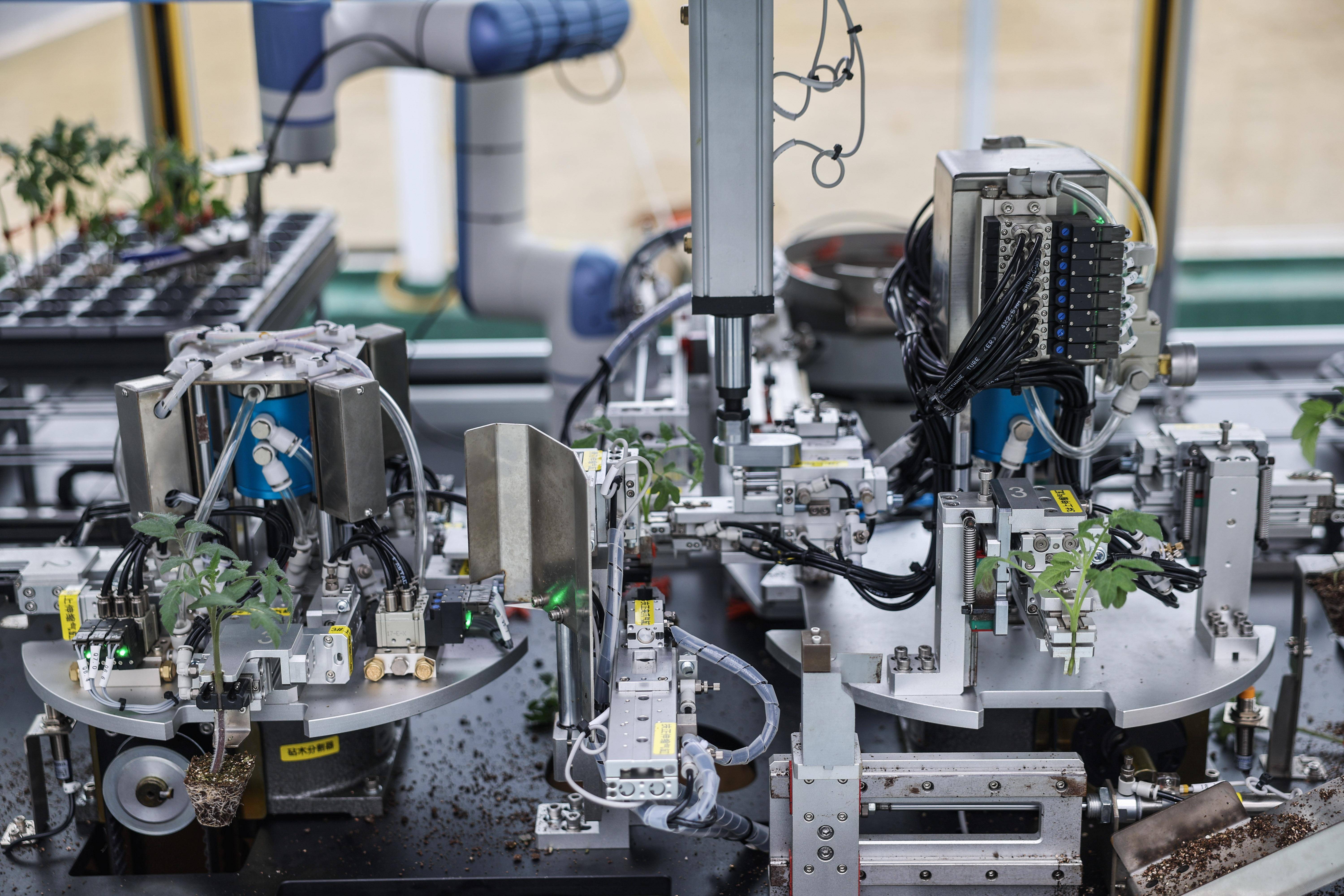 3月6日,在位于桐乡市高桥农业科技产业园的中科康成数字化育苗车间内