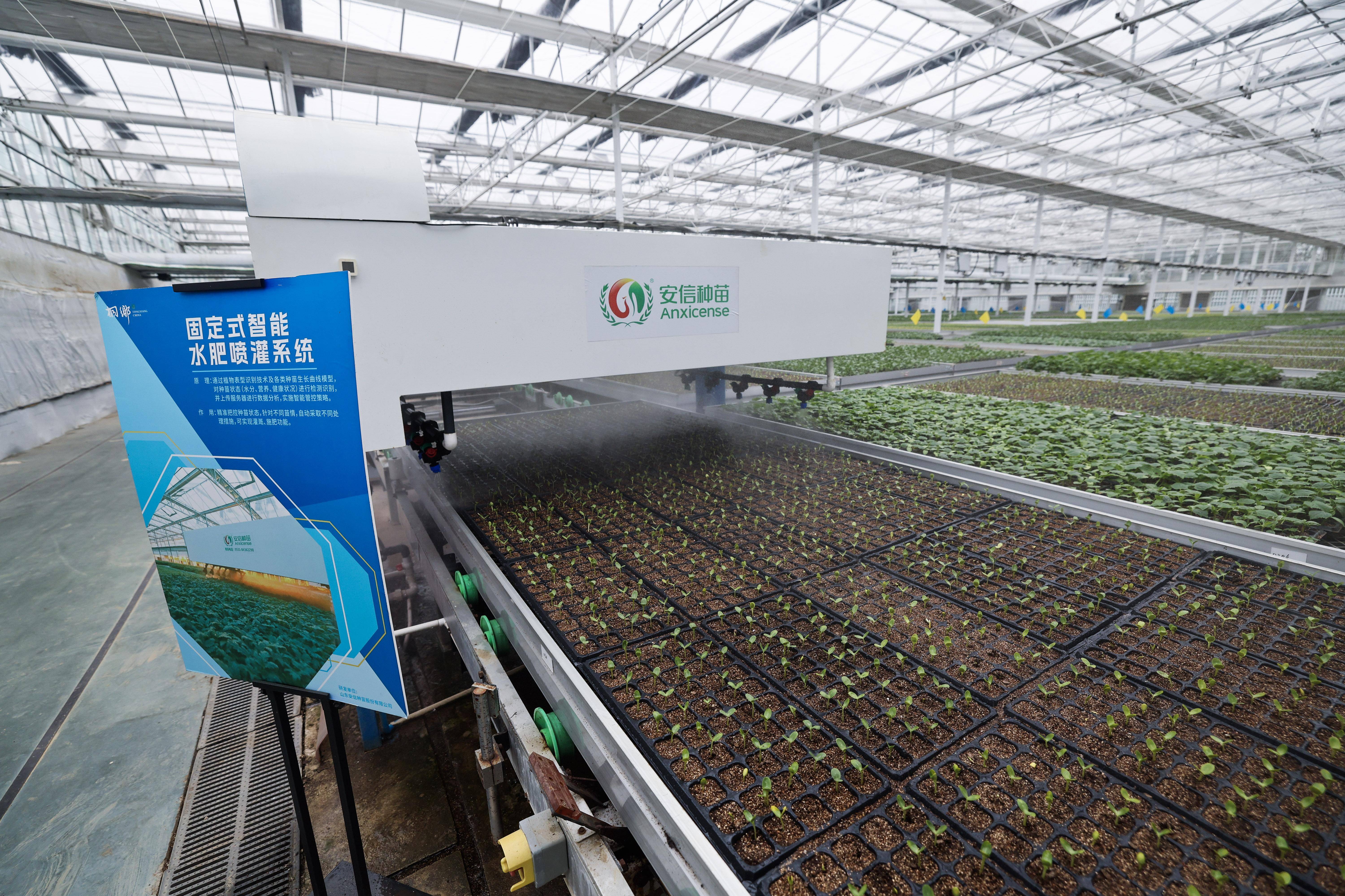 新华社记者 徐昱 摄3月6日,在位于桐乡市高桥农业