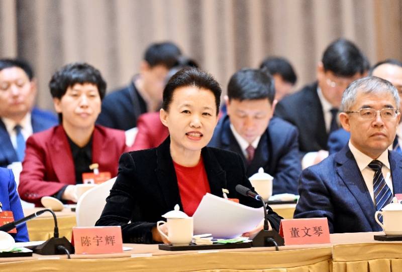 全国人大代表,伊春市委副书记,市长董文琴表示,这个冬天,仅春节假期到