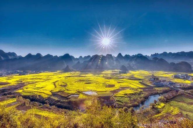 番禺油菜花景点图片