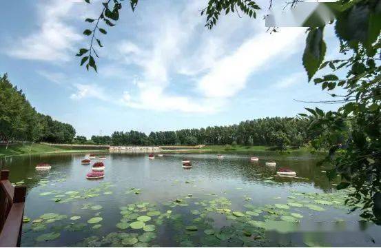 哈尔滨市香坊区休闲农业和乡村旅游精品景点线路