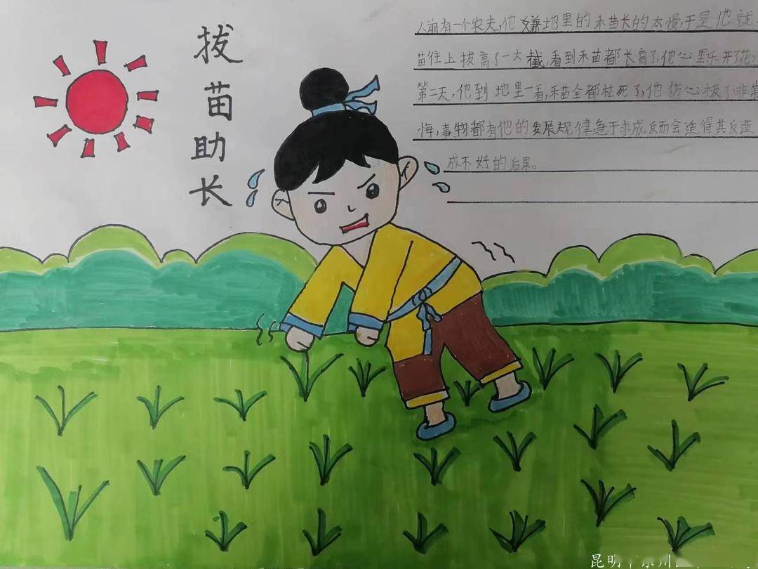 有清晰的思维导图,有图文并茂的手抄报,有推进宣传的海报……每一页