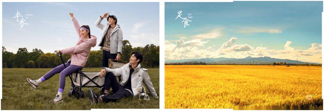 我贵人鸟不当大哥好多年