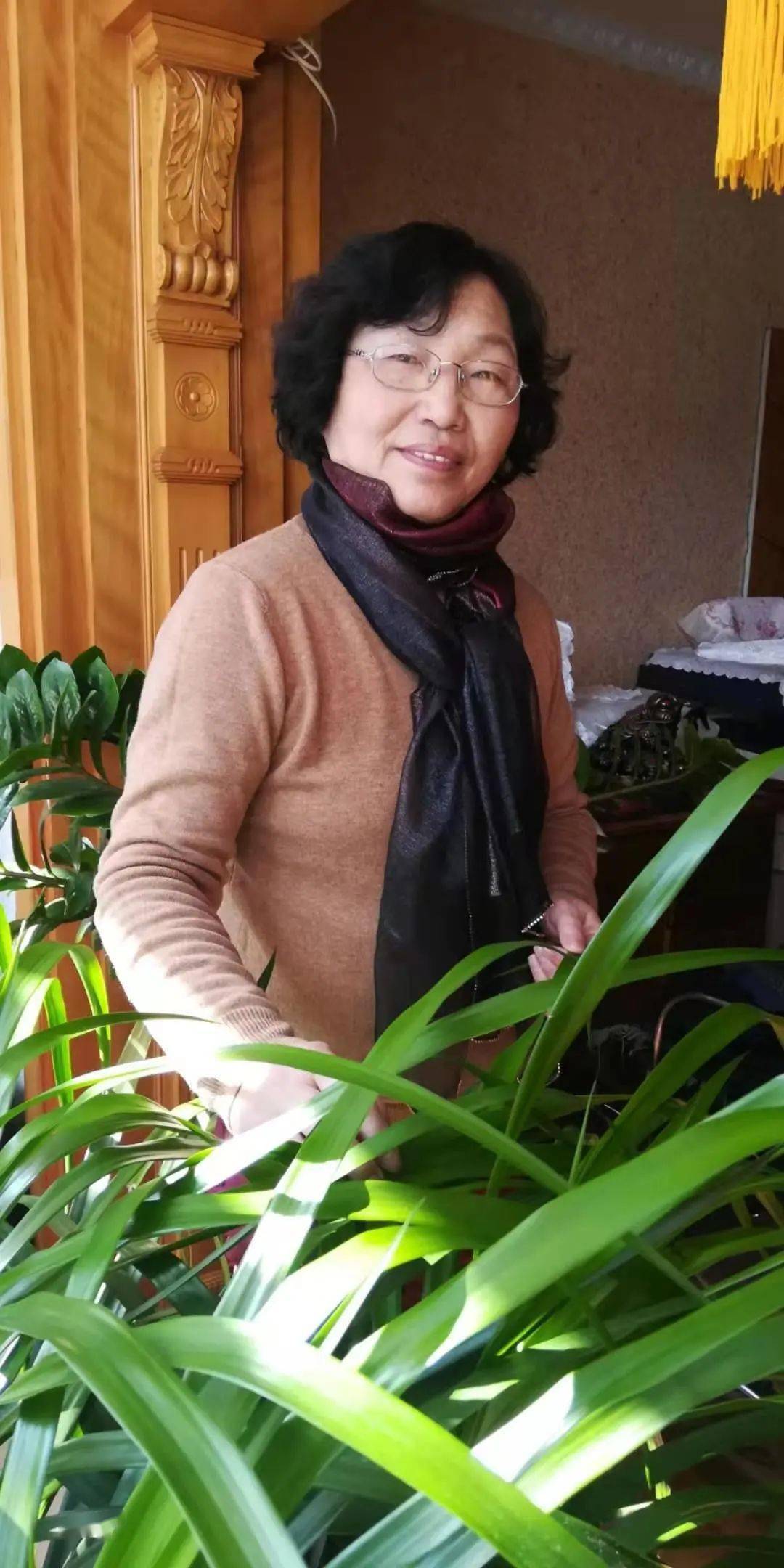 老经编常青好友不负春光聚五龙