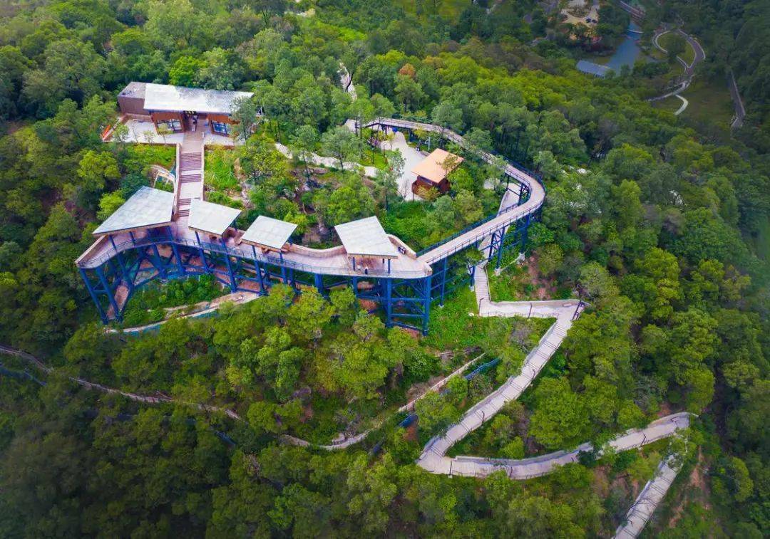 为最爱投票佛山最美徒步路线是哪条由你来定