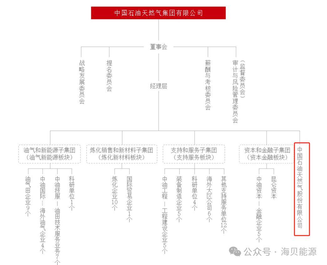 中石油集团公司,股份公司董事会,管理层