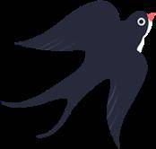 友友们跑完永马留下来在永川耍一耍