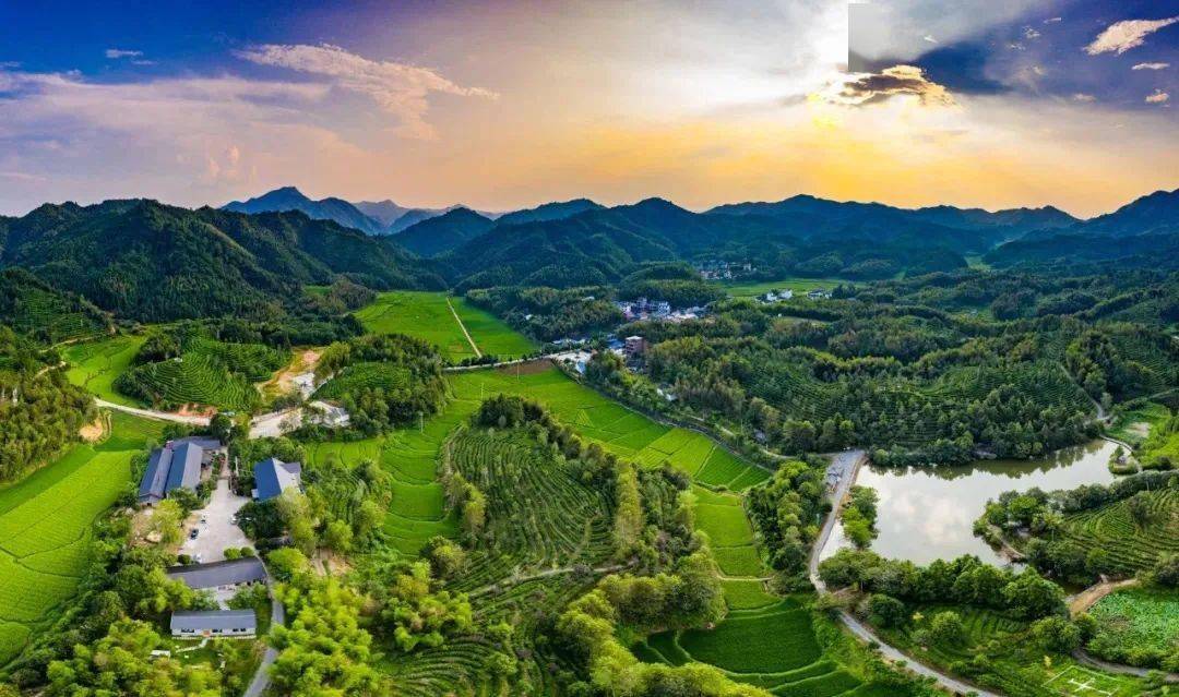 【山】十里探源健康跑,从松溪启程_赛事_运动_身体