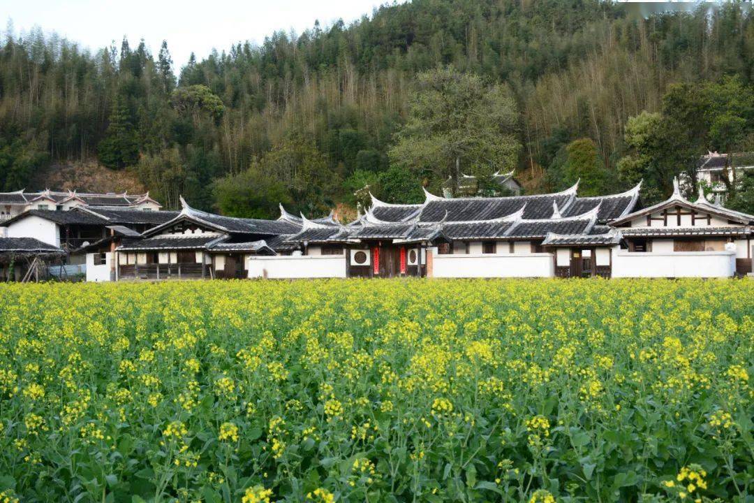 旅游走来去永安这些地方赏花去