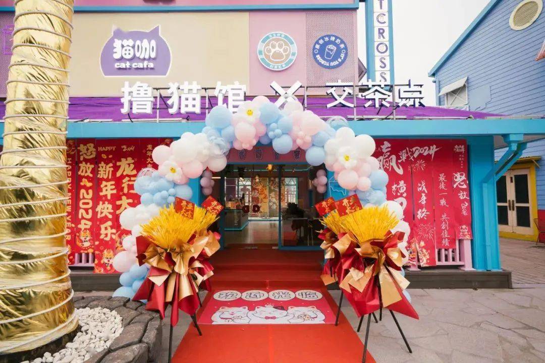 来撸猫上海欢乐谷猫咖开业啦