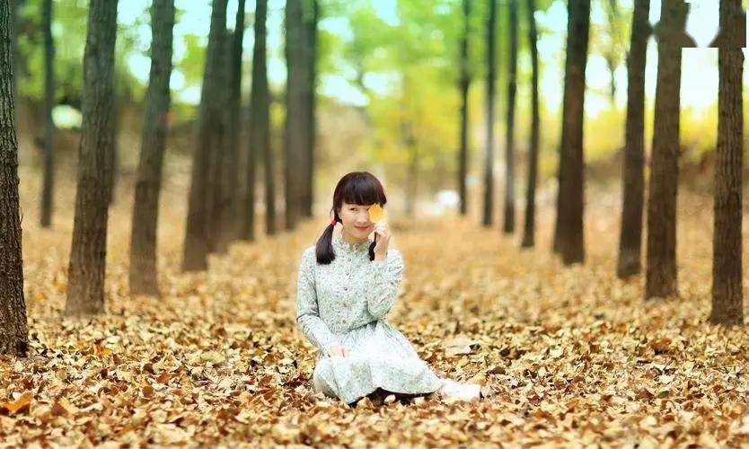 统计之花许玲玲