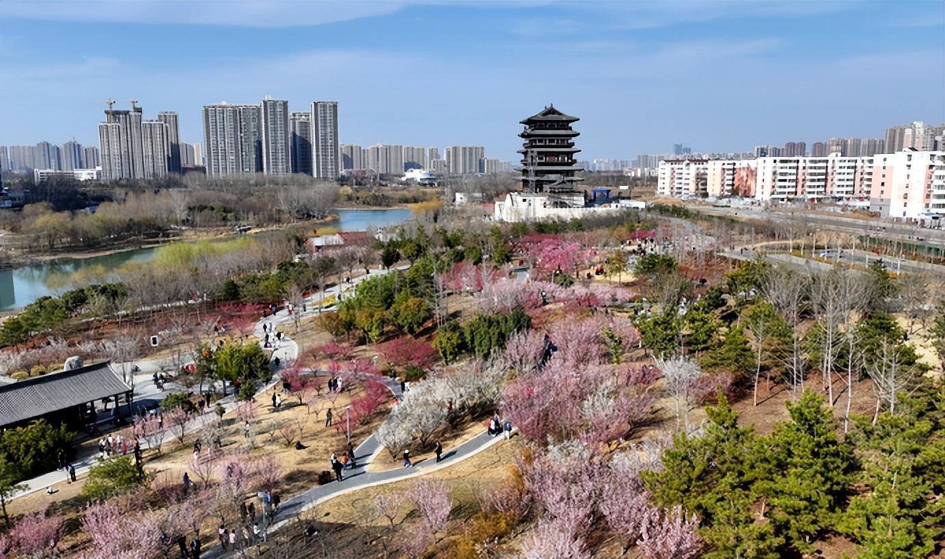 胜日寻芳 春游郑州,这份赏花攻略请收好!_公园_月季_植物园