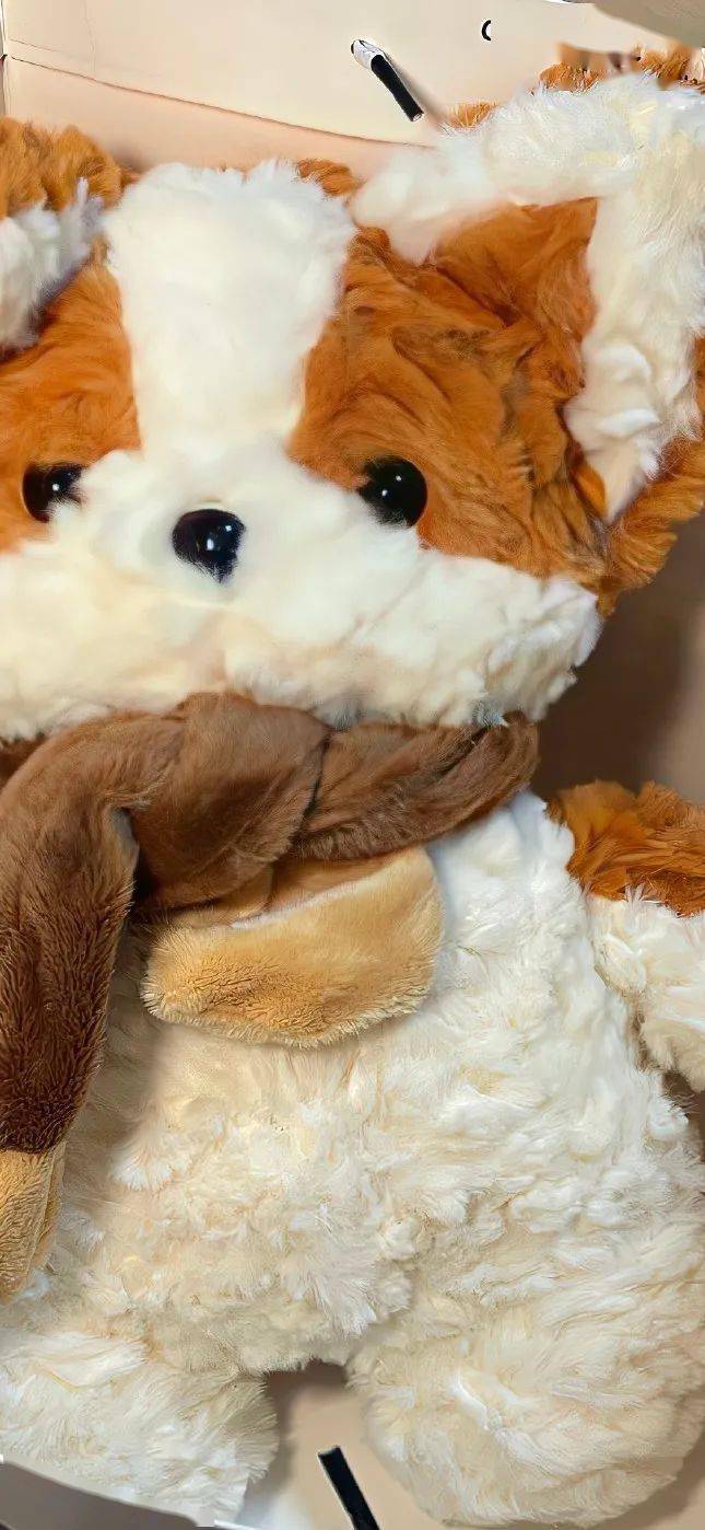 壁纸 | 专属iphone 4k高清壁纸