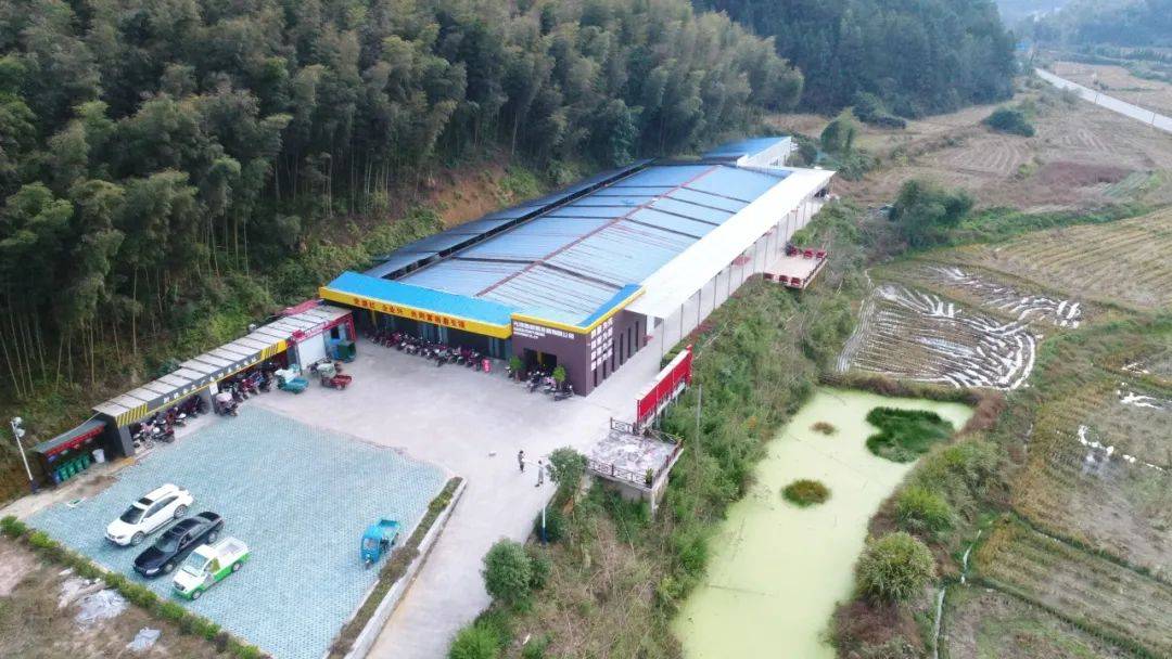 "一只鸡"的乡村振兴路_公司_光泽县_生产