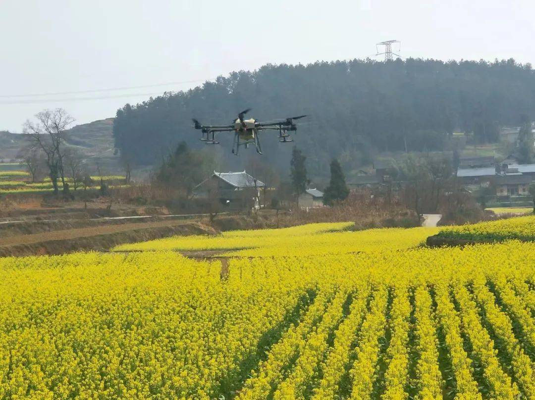 奋进的春天开阳县楠木渡镇奏响农忙奋进曲描绘乡村好丰景