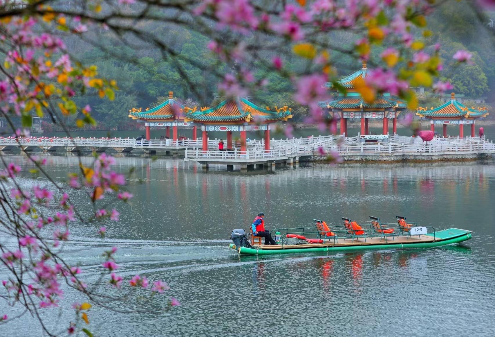 肇庆星湖风景区图片