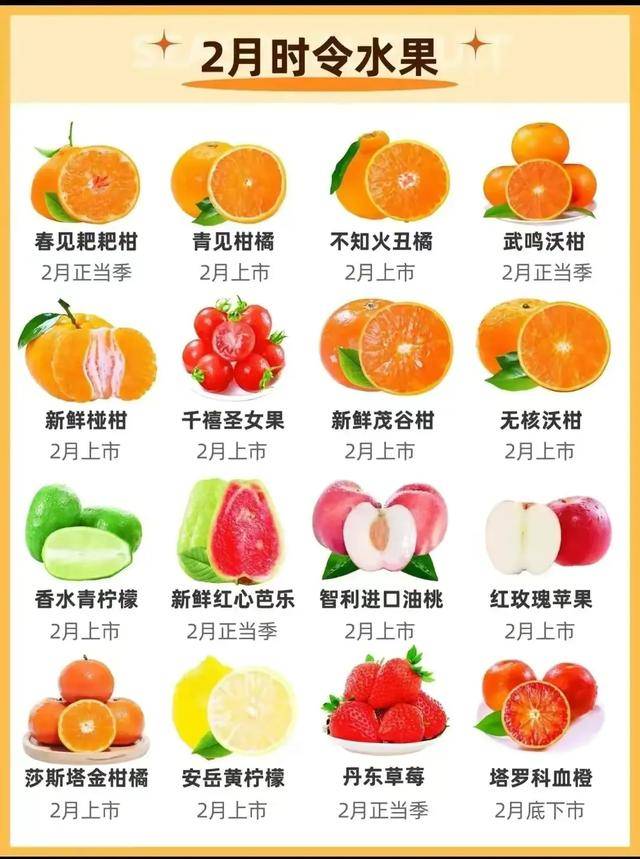 112月时令水果大全大家都喜欢吃什么水果呢