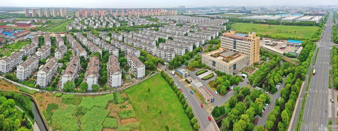 重要任务,围绕木社沟,城西中心河,社桥河和野鸡圩河开展消劣整治工程