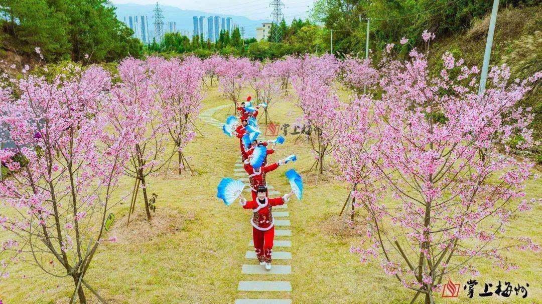 靓蕉岭县这个网红打卡点你去过吗