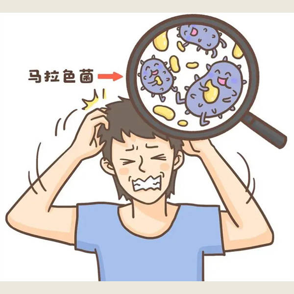 6岁儿童有头皮屑用什么洗发水好