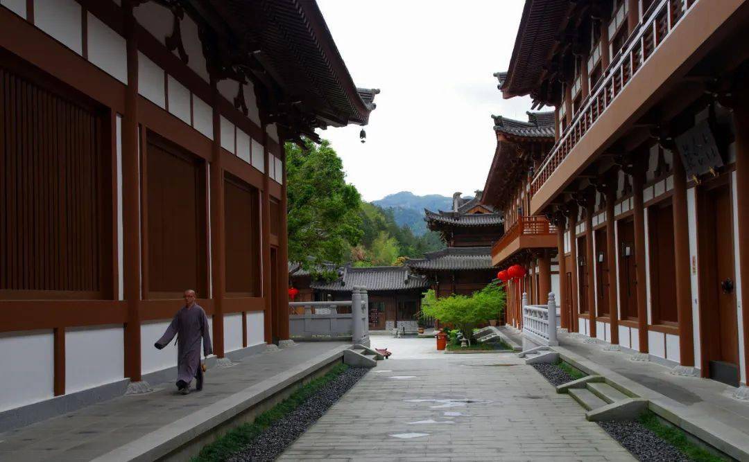 【瓯江潮漫游】禅意山居 安福寺的心境体验