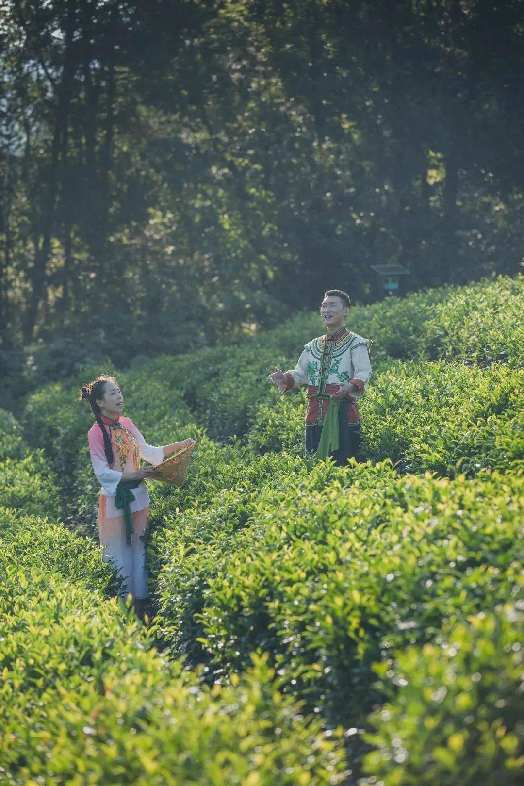 景区_石泉县_方向