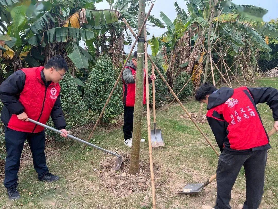 【绿美新会】大手拉小手,共植"青年林"!新会区青少年植树活动顺利举行