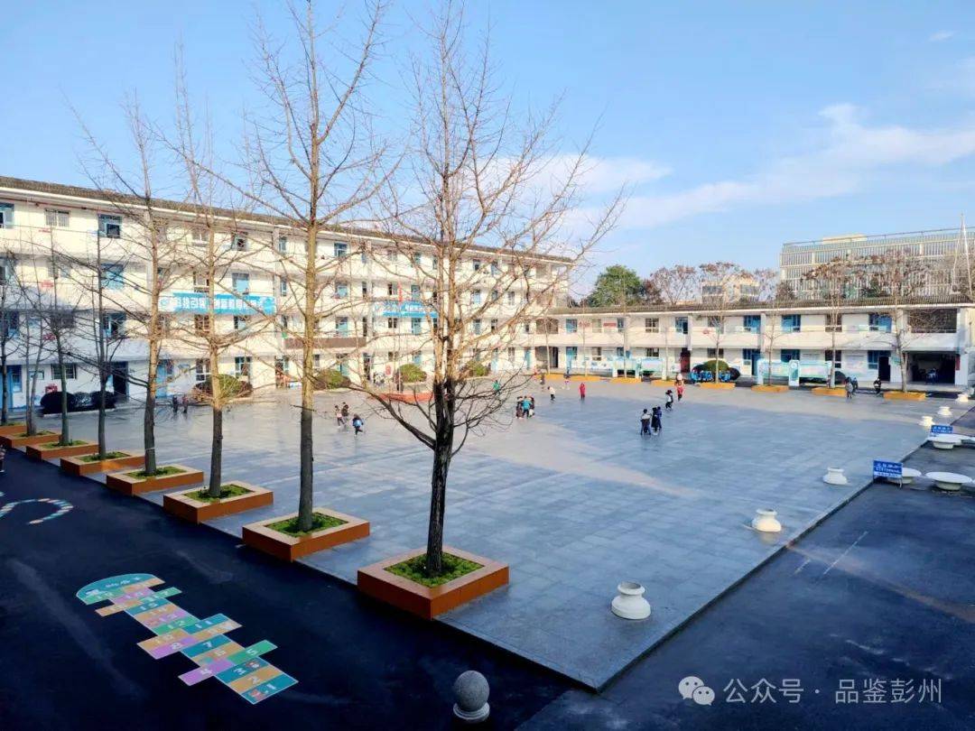 快来为你心中的最美校园打call!_小学_成都市_天府