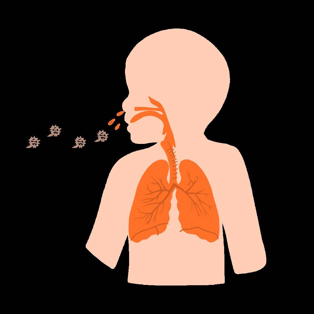 中形成飞沫,较大的飞沫很快落在地面,而较小的飞沫很快蒸发成为飞沫核