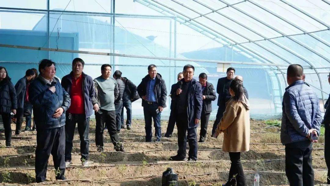 温室,该温室安装了主动蓄放热系统,该系统主要采用"能源搬家"的原理