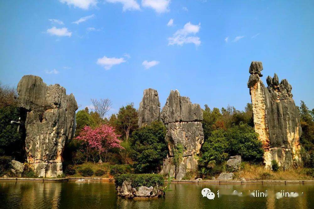 有奖活动【漫游时光 遇见石林】旅游稿件(美文美图/短视频)征集活动