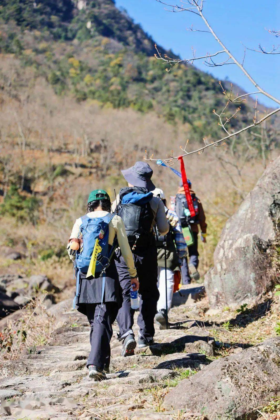 户外运动中心开展草坪瑜伽,主题分享会,在百丈岭自然探索公园跑向山野