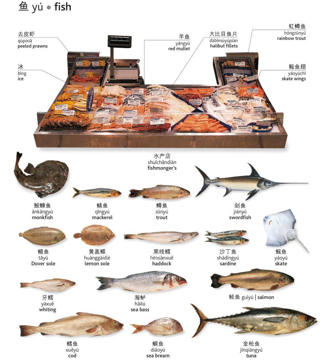 几乎所有食材的英文翻译建议收藏