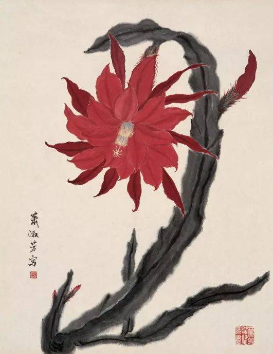 她的画,齐白石指点,高迈行云,渐至化境_淑芳_花卉_绘画