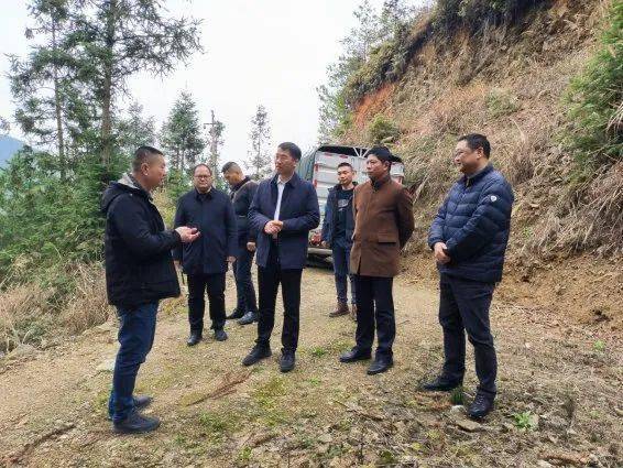 龙杏华率队深入资源县矿山企业调研指导工作