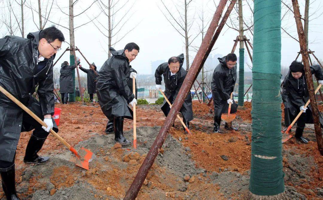 绍兴市领导参加义务植树活动