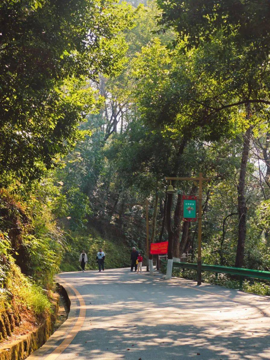 韶关"城市绿肺"的美称满山绿野绵延如屏来韶关国家森林公园是个不错的