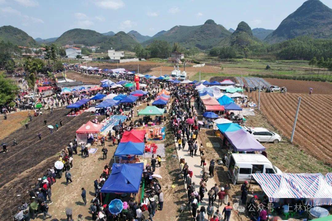 燃爆了!今天(二月二)上林木山乡卢於春社民俗活动现场人山人海