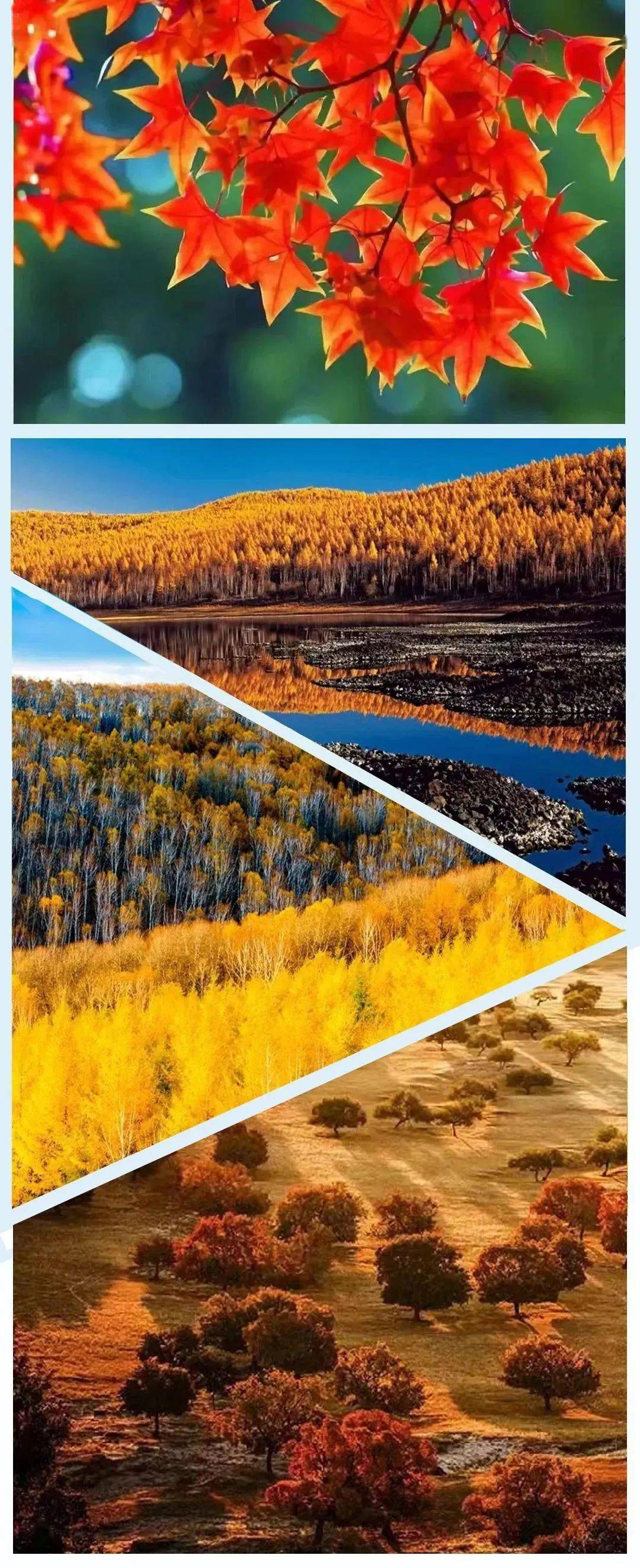 指南 | 我在内蒙古的四季等你