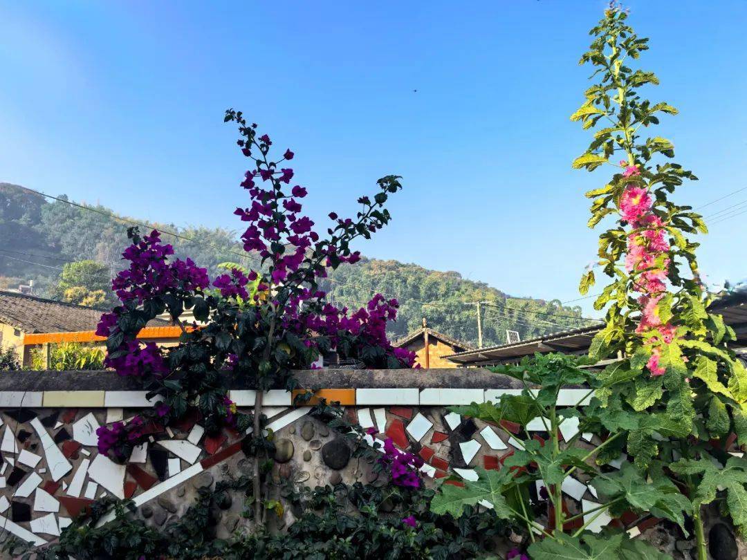 乡村振兴景谷勐班全面改善人居环境倾力打造美丽乡村