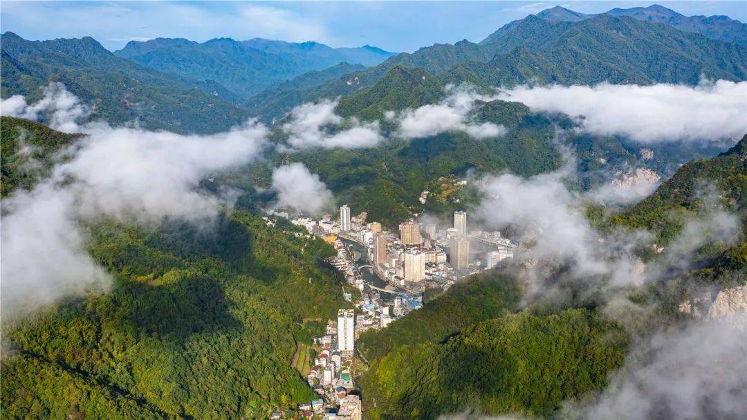 文化_镇坪县_工作